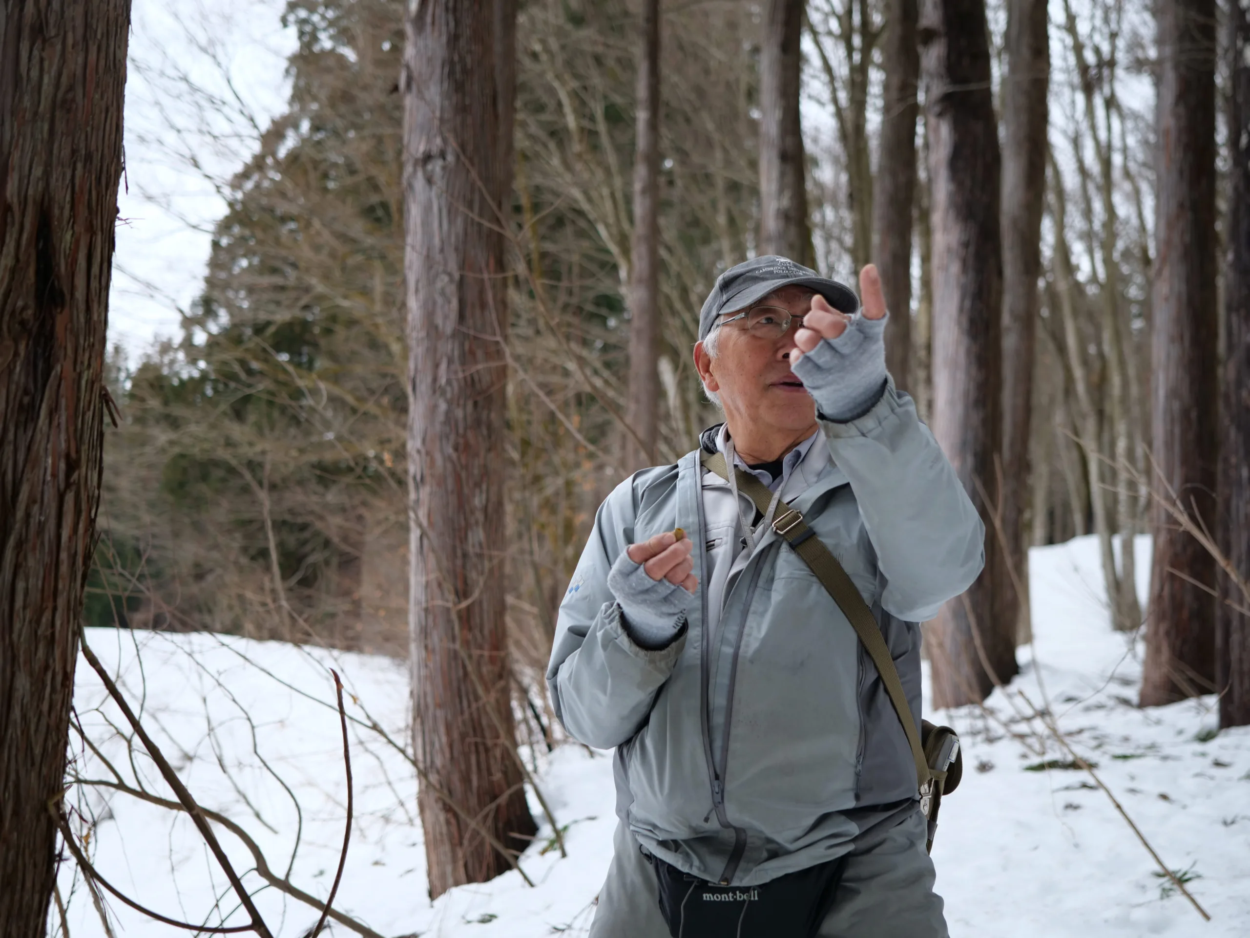 Experience 2: Snowshoe Through the Beech Forest of Bijinbayashi (Tokamachi City)