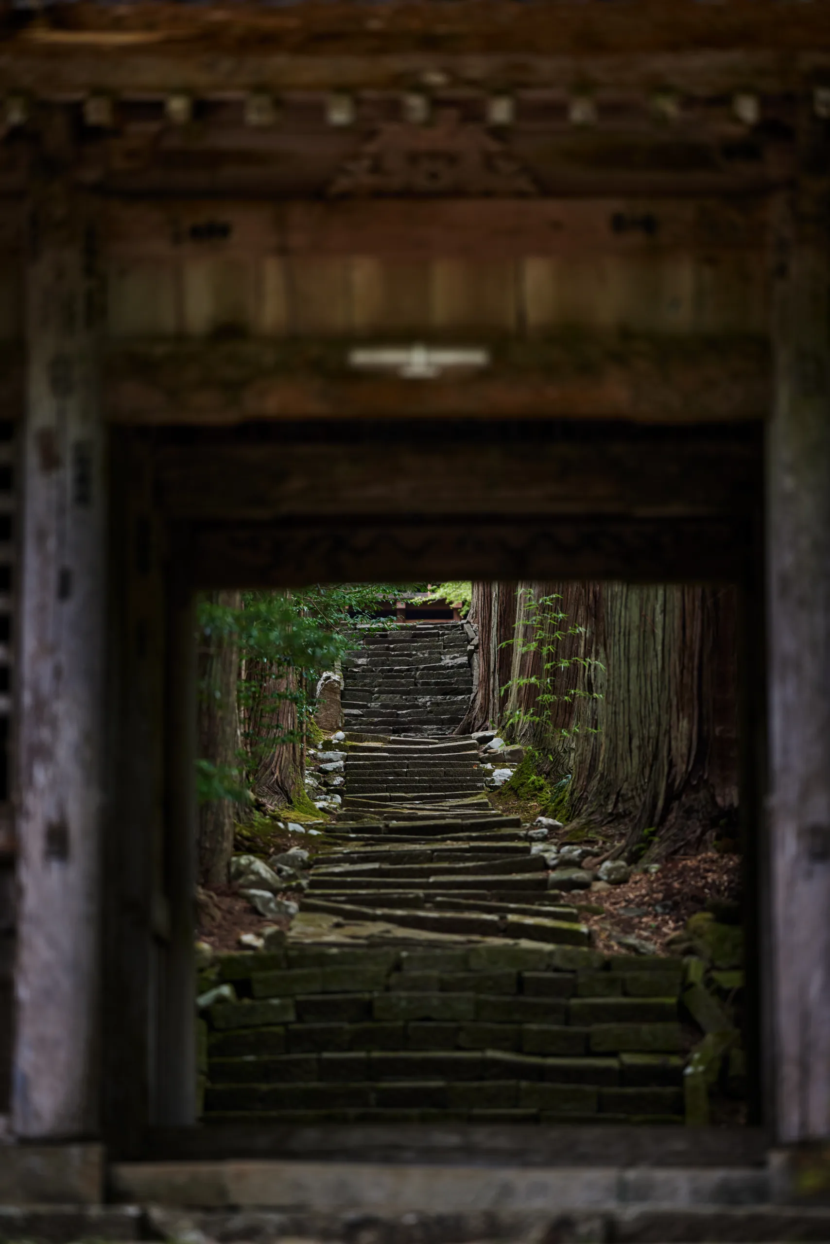 Tokoin Seisuiji Temple