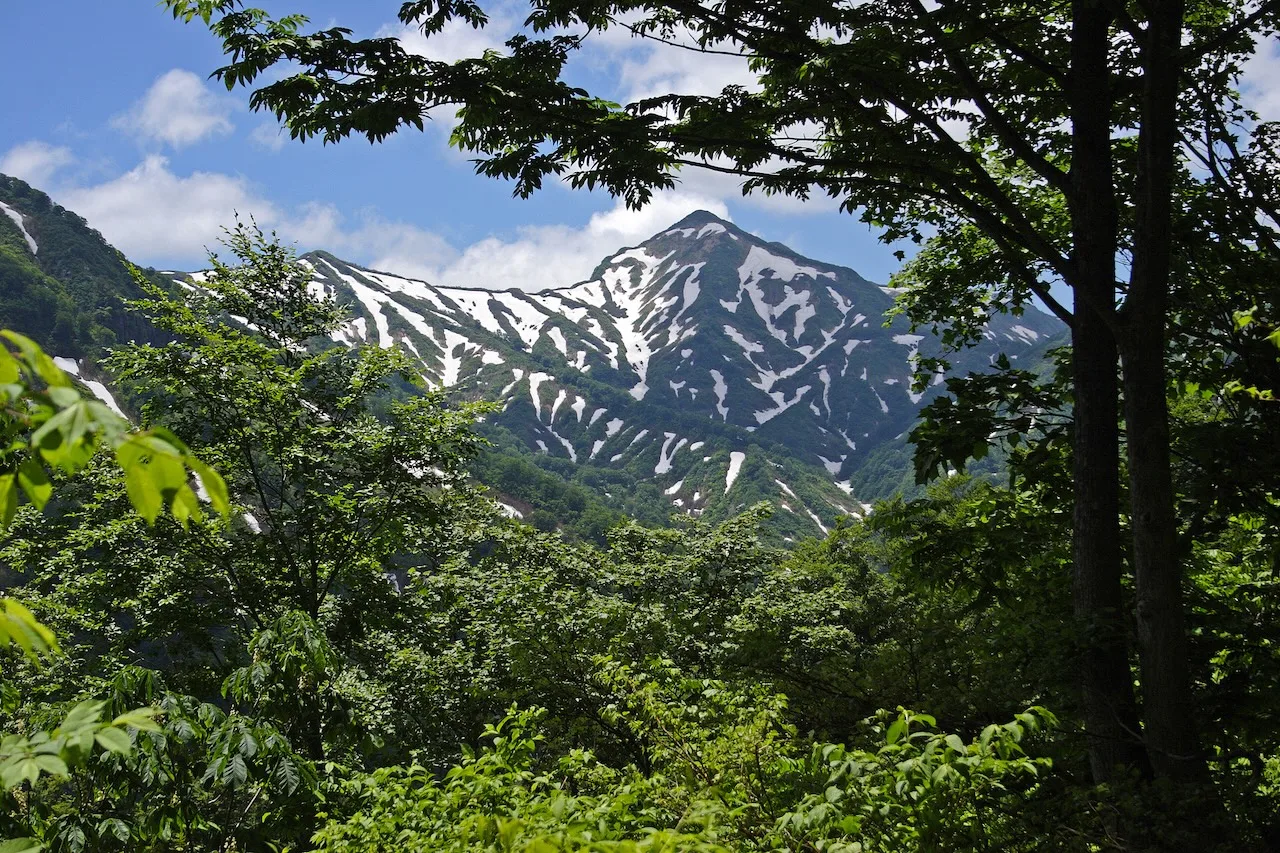 The History of the Hachijurigoe Pass