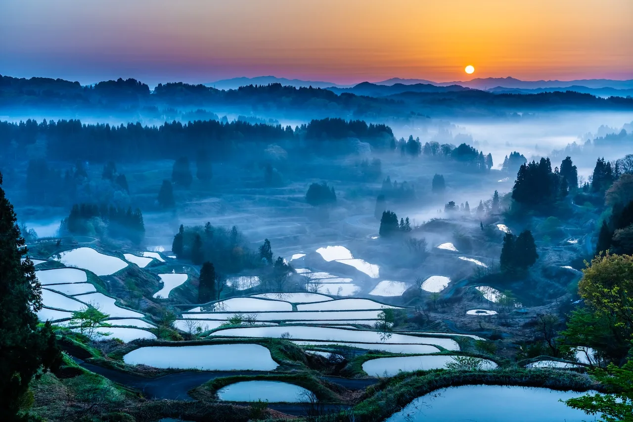 A Sublime Intersection of Snow, Sea, and Satoyama—Unforgettable Views Exclusive to Niigata