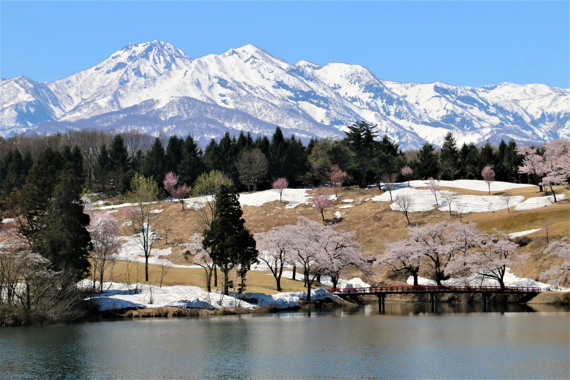 Niigata’s Sacred Peaks—A Journey through Faith and Grand Vistas