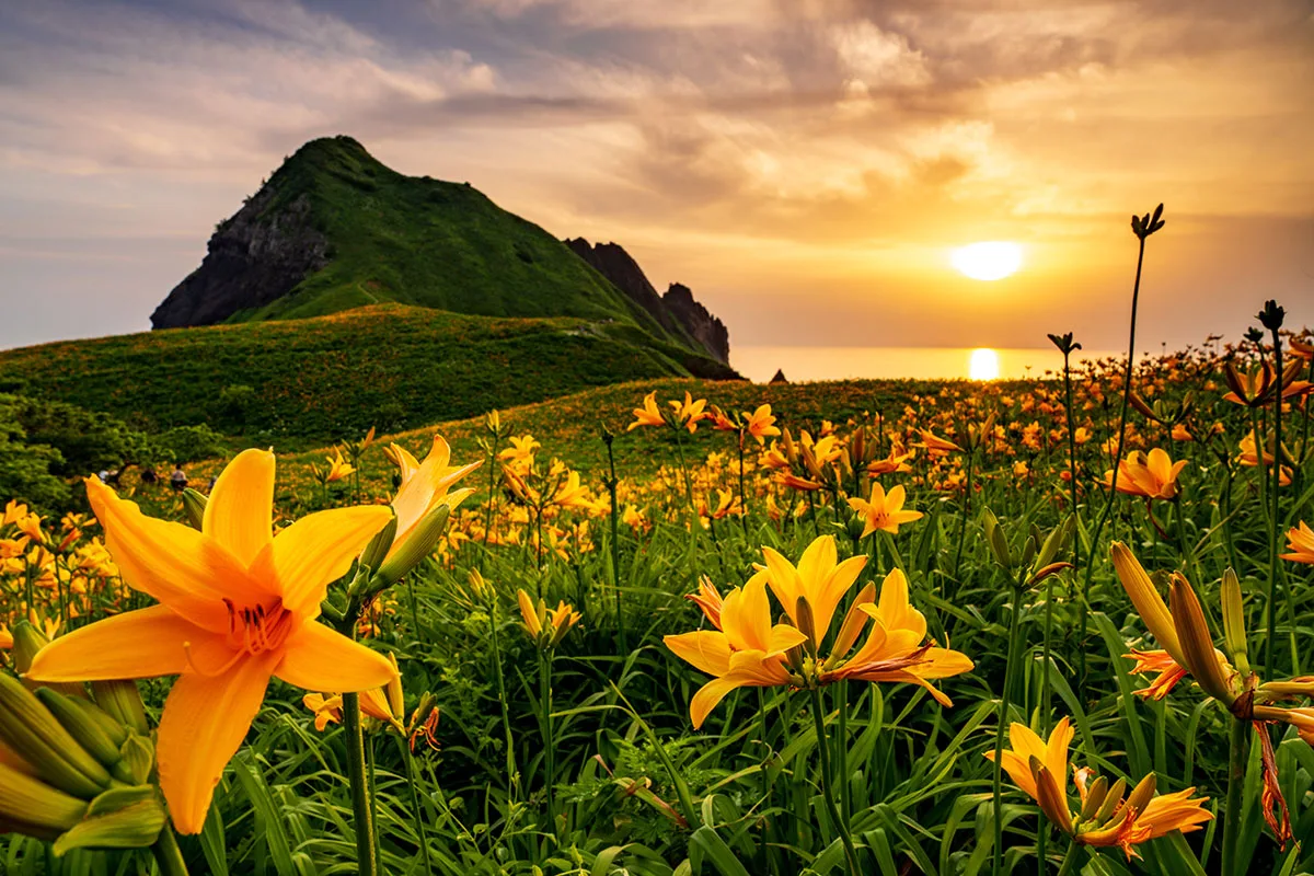 Onogame—The Michelin Two-Star Monolith Rising from the Sea