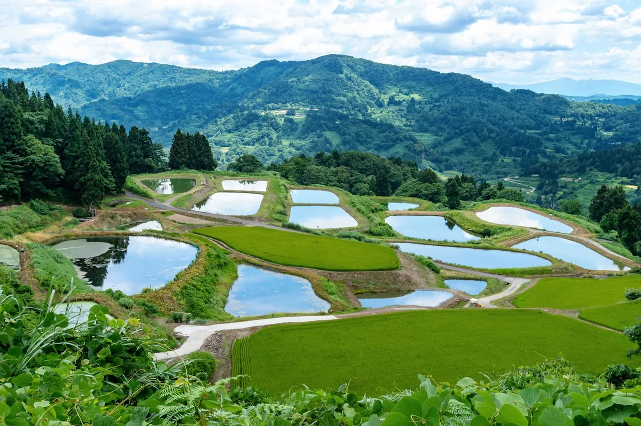 Mountain Life and History—A Wellspring of Wisdom and Culture