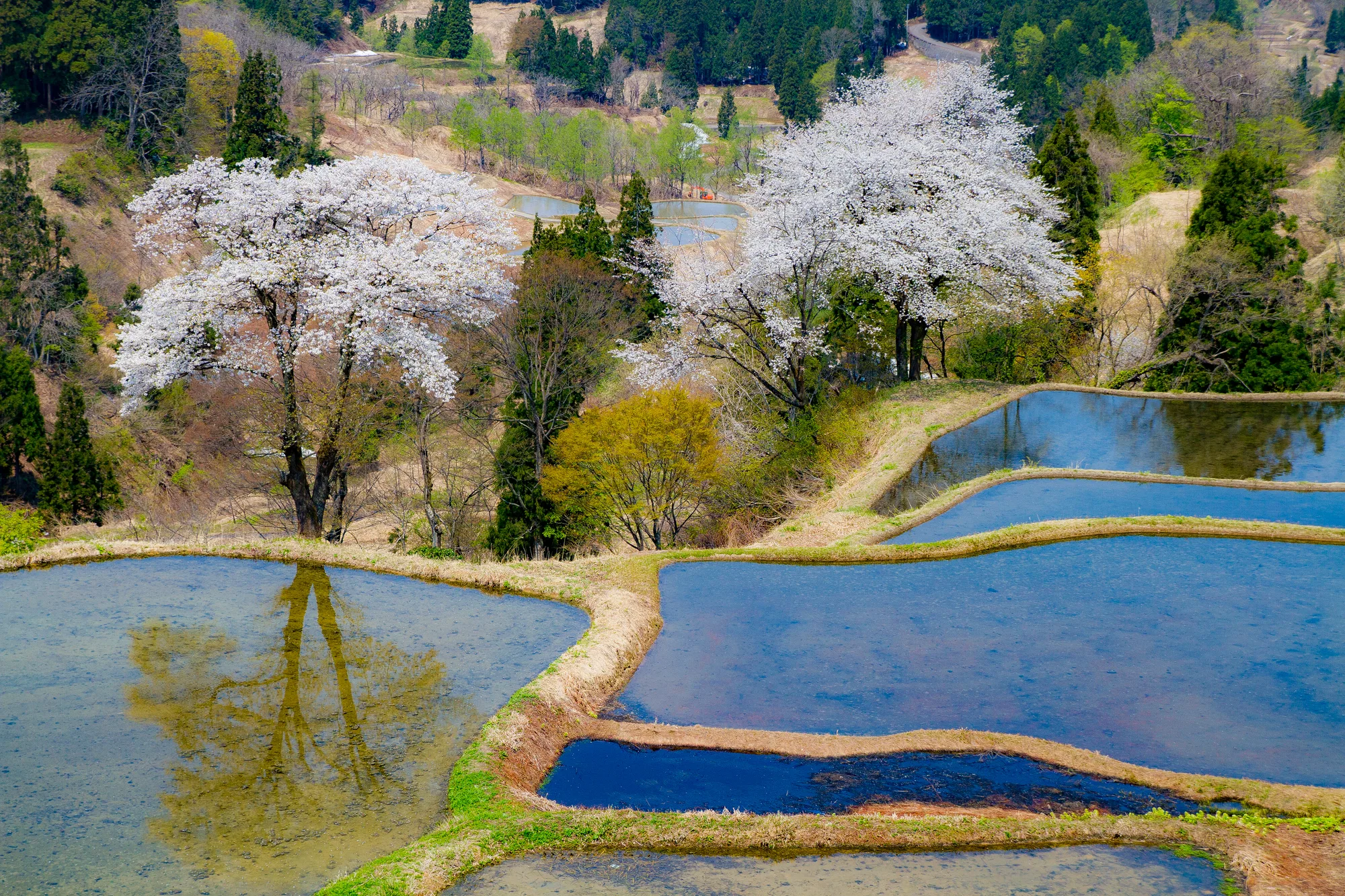 Tokamachi Satoyama Walk: Gimyo & Kamo Rice Terraces Course