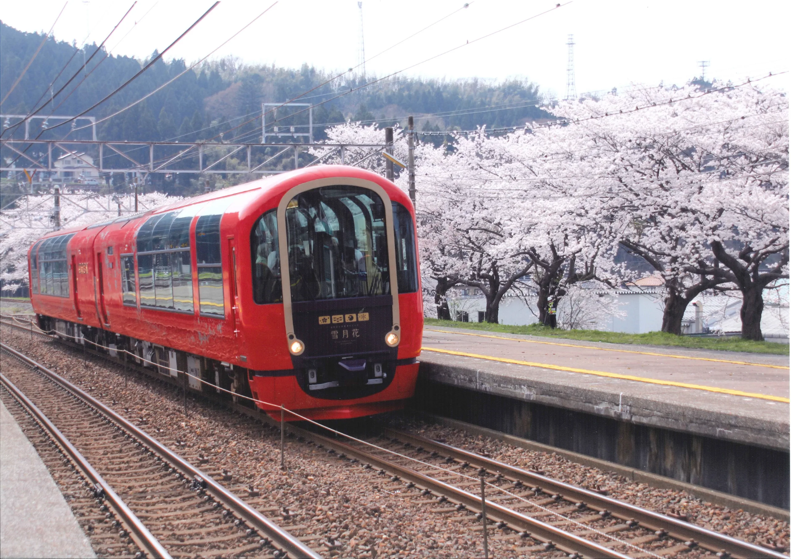 Discover the Best of Niigata: An Extraordinary Journey by Scenic Railway